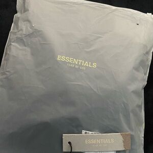 Essentials hoodie